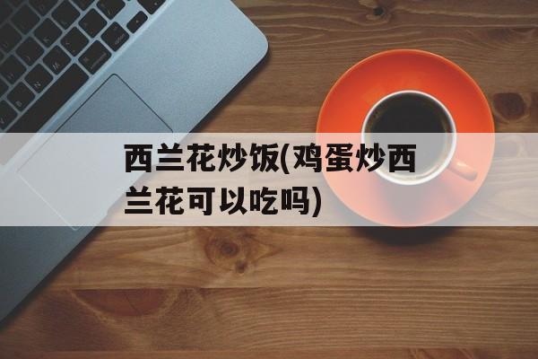 西兰花炒饭(鸡蛋炒西兰花可以吃吗)-第1张图片-