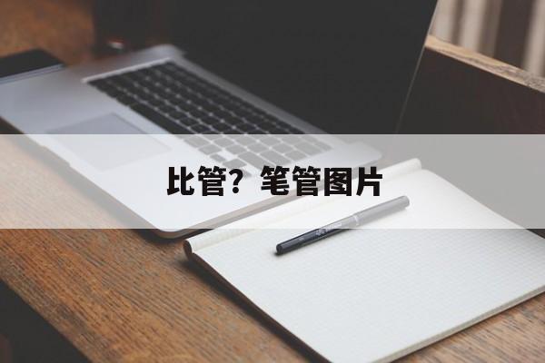 比管？笔管图片-第1张图片-