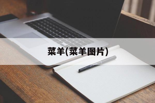 菜羊(菜羊图片)-第1张图片-