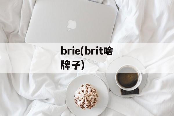 brie(brit啥牌子)-第1张图片-
