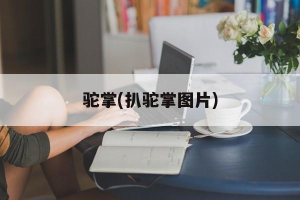 驼掌(扒驼掌图片)-第1张图片-