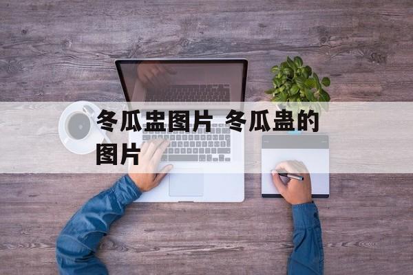冬瓜盅图片 冬瓜蛊的图片-第1张图片-