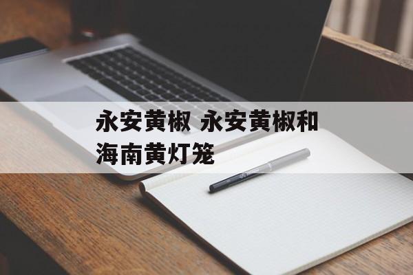 永安黄椒 永安黄椒和海南黄灯笼-第1张图片-