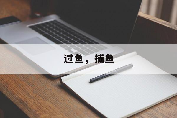 过鱼，捕鱼-第1张图片-