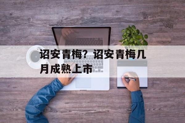 诏安青梅？诏安青梅几月成熟上市-第1张图片-