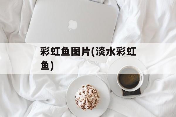 彩虹鱼图片(淡水彩虹鱼)-第1张图片-