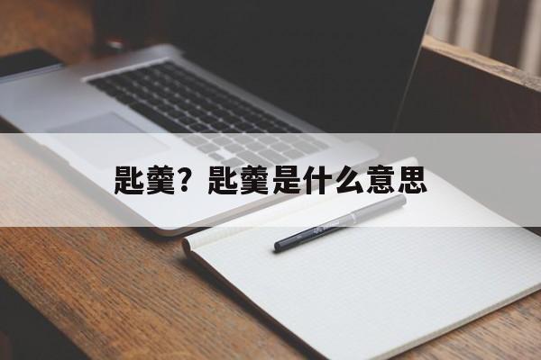 匙羹？匙羹是什么意思-第1张图片-