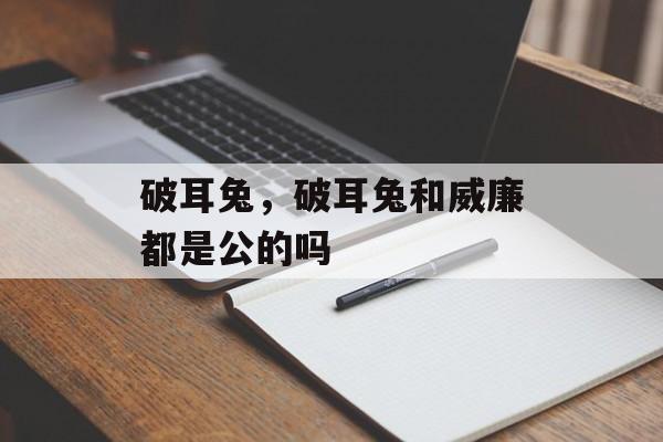 破耳兔，破耳兔和威廉都是公的吗-第1张图片-