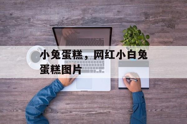 小兔蛋糕，网红小白兔蛋糕图片-第1张图片-