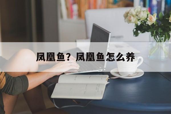 凤凰鱼？凤凰鱼怎么养-第1张图片-