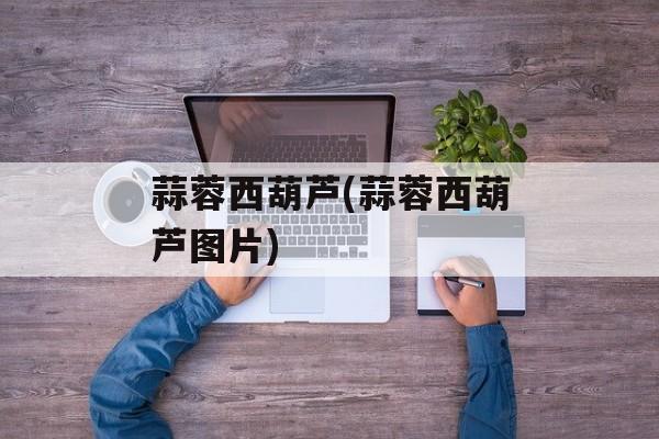 蒜蓉西葫芦(蒜蓉西葫芦图片)-第1张图片-