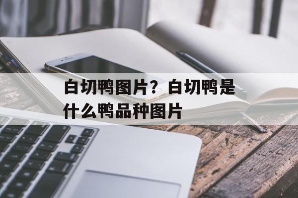 白切鸭图片？白切鸭是什么鸭品种图片-第1张图片-