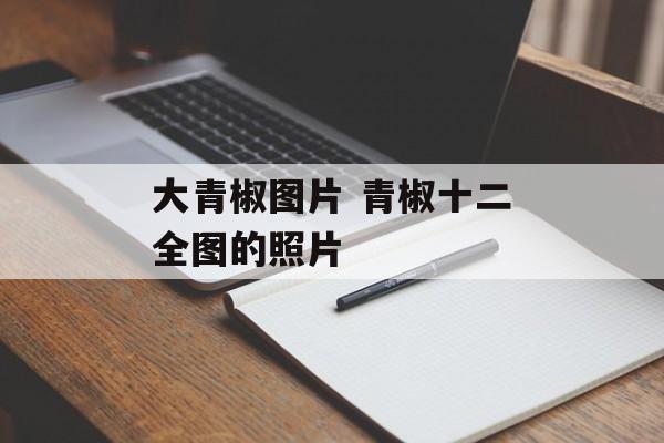 大青椒图片 青椒十二全图的照片-第1张图片-