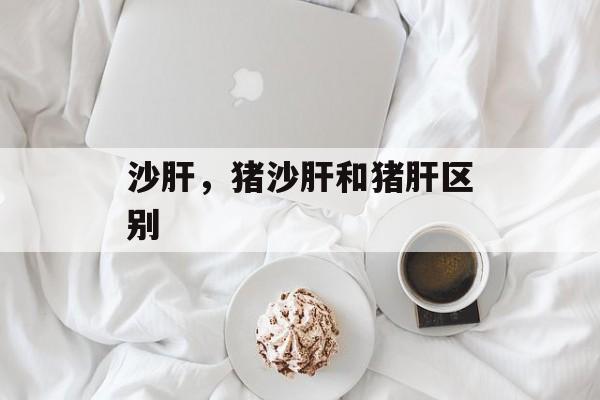 沙肝，猪沙肝和猪肝区别-第1张图片-