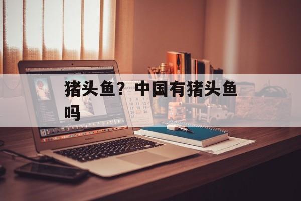 猪头鱼？中国有猪头鱼吗-第1张图片-
