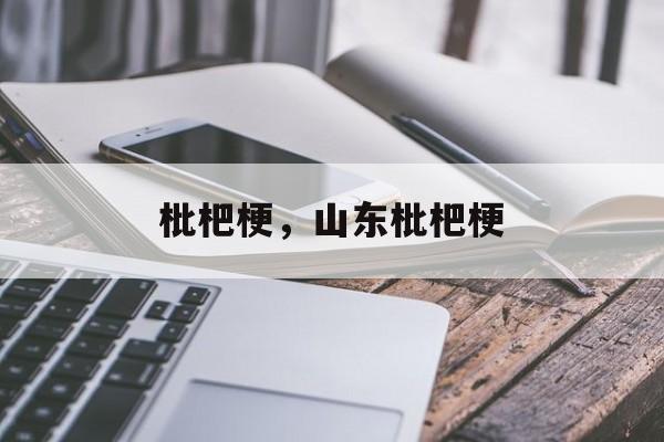 枇杷梗，山东枇杷梗-第1张图片-