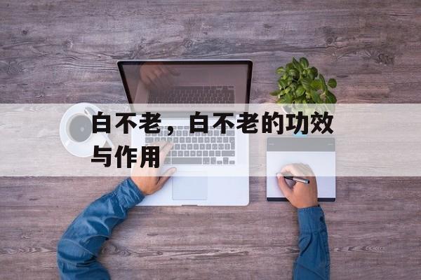 白不老，白不老的功效与作用-第1张图片-