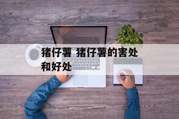 猪仔薯 猪仔薯的害处和好处-第1张图片-