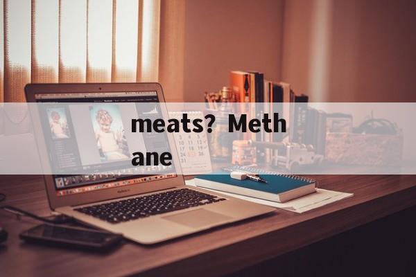 meats？Methane-第1张图片-