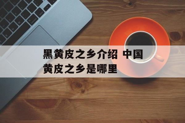 黑黄皮之乡介绍 中国黄皮之乡是哪里-第1张图片-