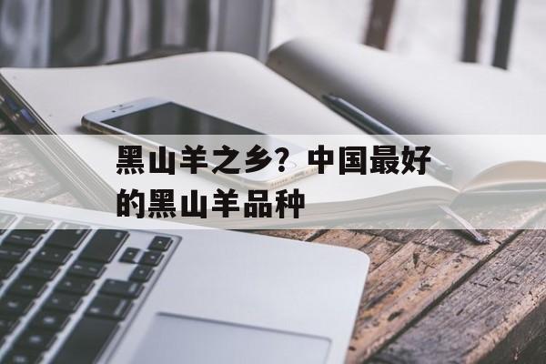 黑山羊之乡？中国最好的黑山羊品种-第1张图片-