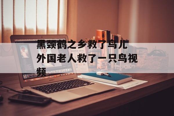 黑颈鹤之乡救了鸟儿 外国老人救了一只鸟视频-第1张图片-