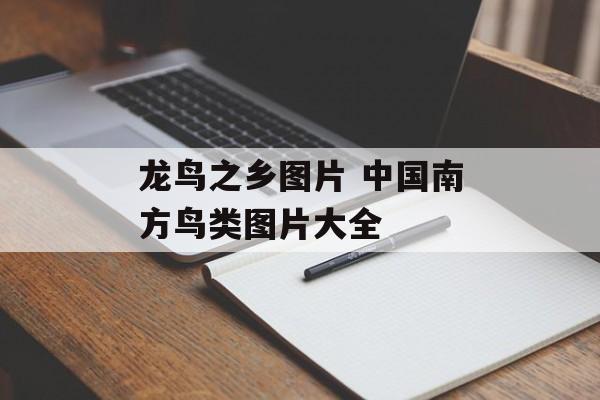 龙鸟之乡图片 中国南方鸟类图片大全-第1张图片-
