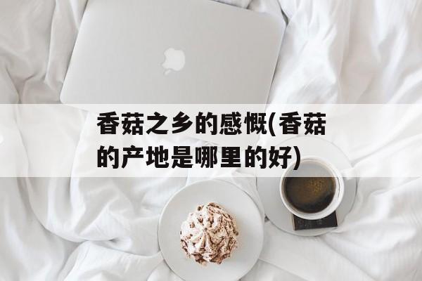 香菇之乡的感慨(香菇的产地是哪里的好)-第1张图片-