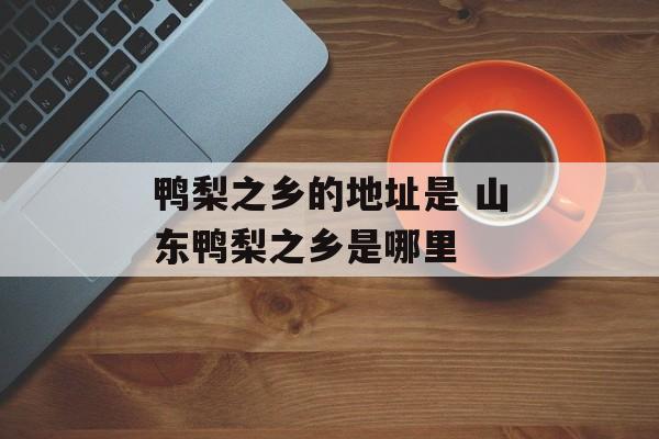 鸭梨之乡的地址是 山东鸭梨之乡是哪里-第1张图片-