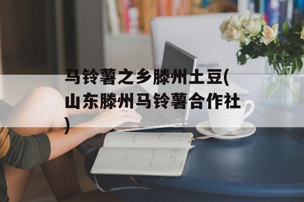 马铃薯之乡滕州土豆(山东滕州马铃薯合作社)-第1张图片-