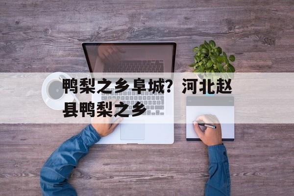 鸭梨之乡阜城？河北赵县鸭梨之乡-第1张图片-