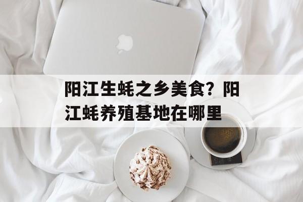 阳江生蚝之乡美食？阳江蚝养殖基地在哪里-第1张图片-