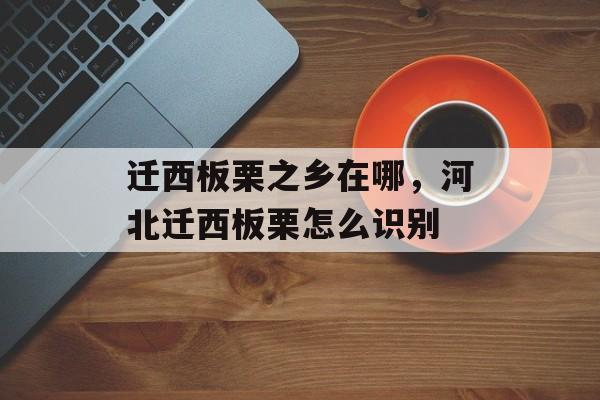 迁西板栗之乡在哪，河北迁西板栗怎么识别-第1张图片-