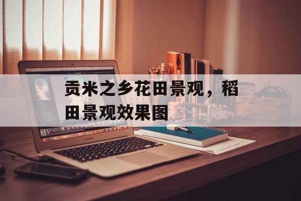 贡米之乡花田景观，稻田景观效果图-第1张图片-