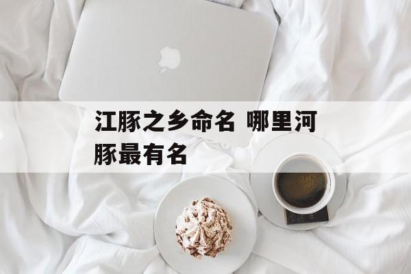 江豚之乡命名 哪里河豚最有名-第1张图片-