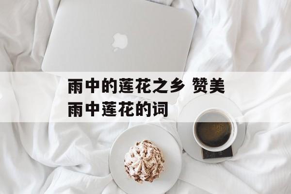 雨中的莲花之乡 赞美雨中莲花的词-第1张图片-