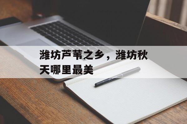 潍坊芦苇之乡，潍坊秋天哪里最美-第1张图片-