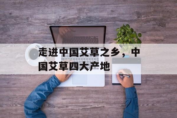 走进中国艾草之乡，中国艾草四大产地-第1张图片-