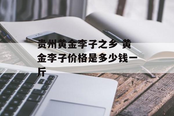 贵州黄金李子之乡 黄金李子价格是多少钱一斤-第1张图片-
