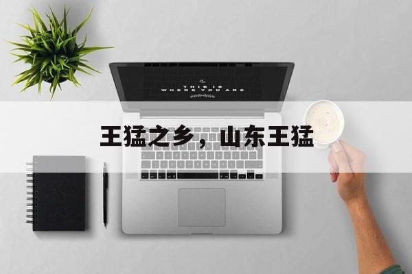 王猛之乡，山东王猛-第1张图片-