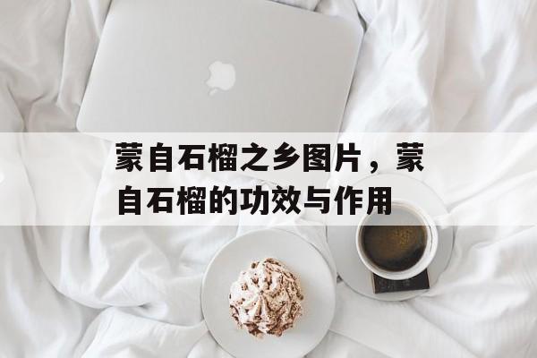 蒙自石榴之乡图片，蒙自石榴的功效与作用-第1张图片-