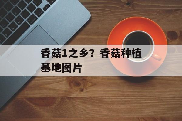香菇1之乡？香菇种植基地图片-第1张图片-