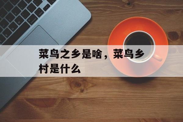 菜鸟之乡是啥，菜鸟乡村是什么-第1张图片-