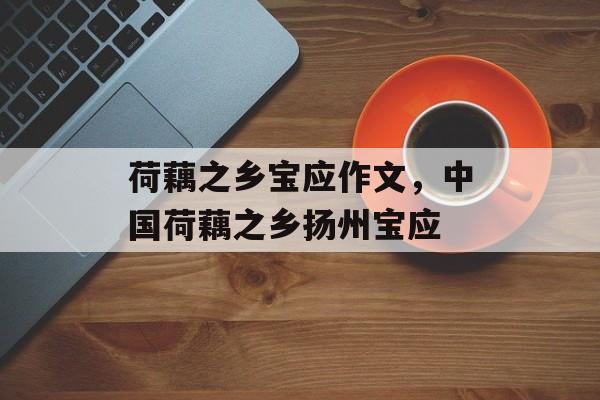 荷藕之乡宝应作文，中国荷藕之乡扬州宝应-第1张图片-