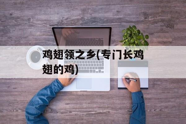 鸡翅领之乡(专门长鸡翅的鸡)-第1张图片-