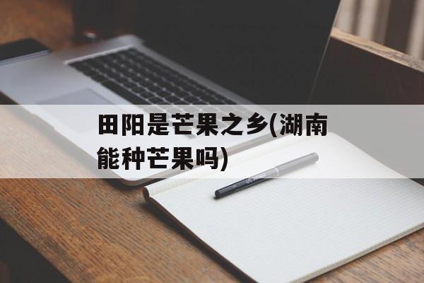 田阳是芒果之乡(湖南能种芒果吗)-第1张图片-