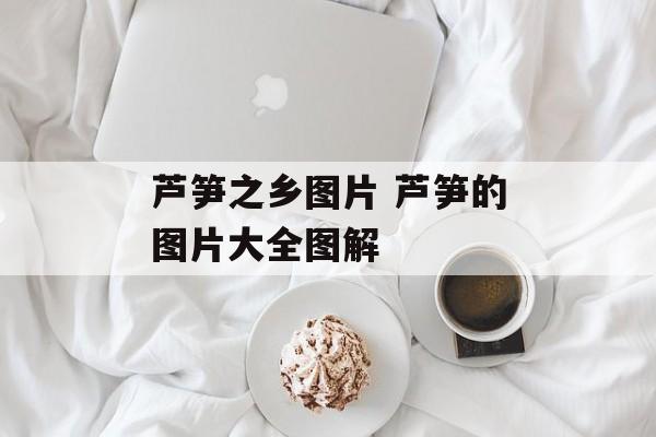 芦笋之乡图片 芦笋的图片大全图解-第1张图片-