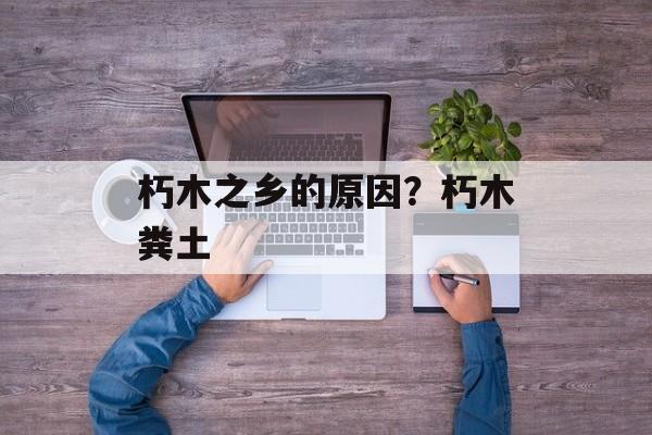 朽木之乡的原因？朽木粪土-第1张图片-