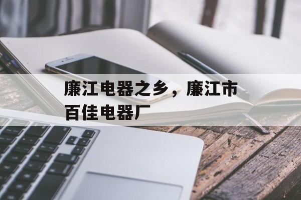 廉江电器之乡，廉江市百佳电器厂-第1张图片-