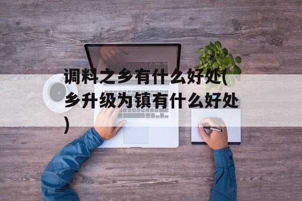 调料之乡有什么好处(乡升级为镇有什么好处)-第1张图片-